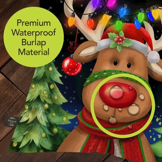 supplemental image 3