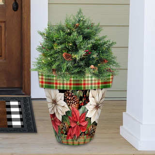 Mixed Poinsettias Planter with green tree and red white flowers on a festive pot outdoors.