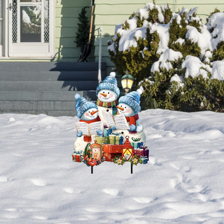 supplemental image 1