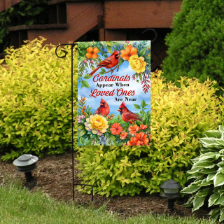 supplemental image 2