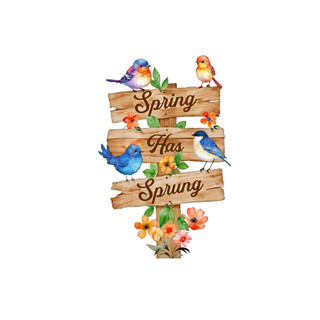 Spring Has Sprung Sign with colorful birds, flowers, and wooden slats, metal art decoration.