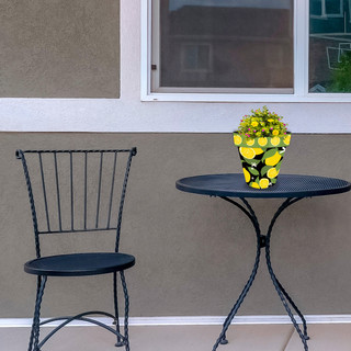 supplemental image 2