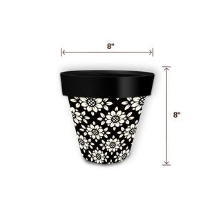 supplemental image 1