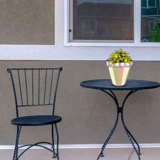 supplemental image 2