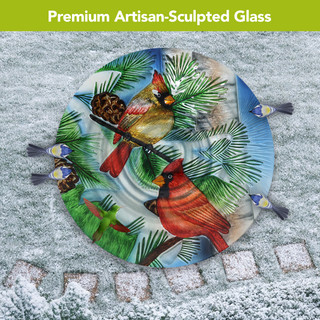 supplemental image 3