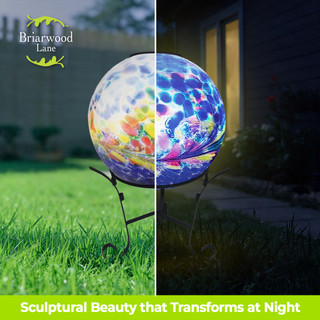 supplemental image 5