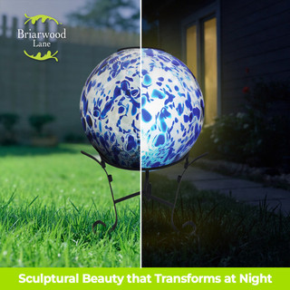 supplemental image 5