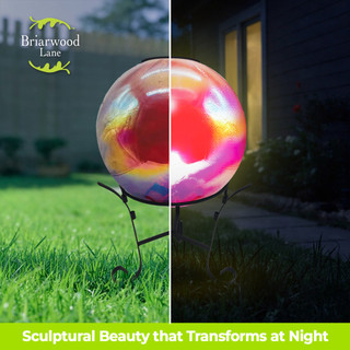 supplemental image 5