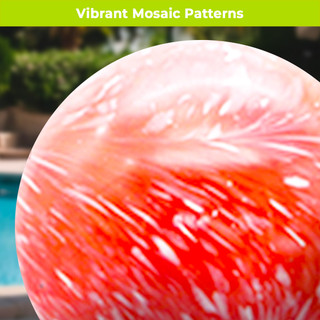 supplemental image 4