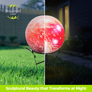 supplemental image 5