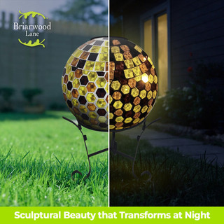 supplemental image 5