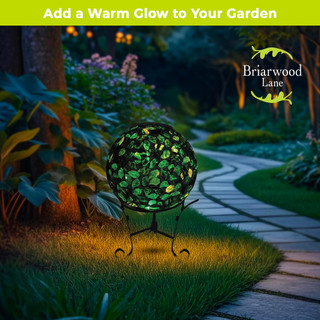 supplemental image 2