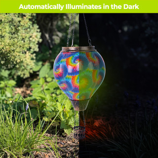 supplemental image 4