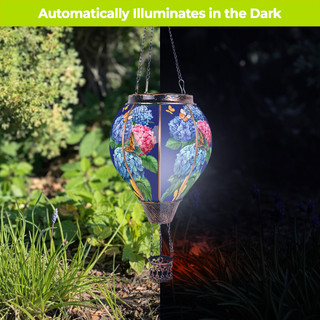 supplemental image 4