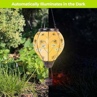 supplemental image 4