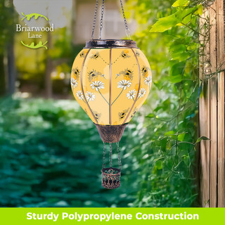 supplemental image 5