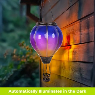 supplemental image 6