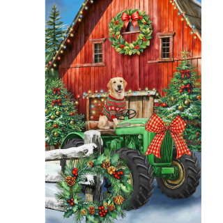 supplemental image 1