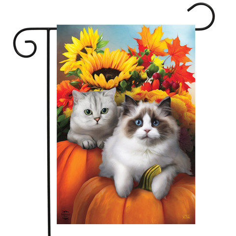 Briarwood Lane Fall Cats Floral Garden Flag with colorful kittens and autumn flowers on a pumpkin.
