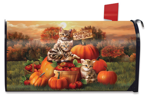 Fall Kittens Pumpkins Mailbox Cover