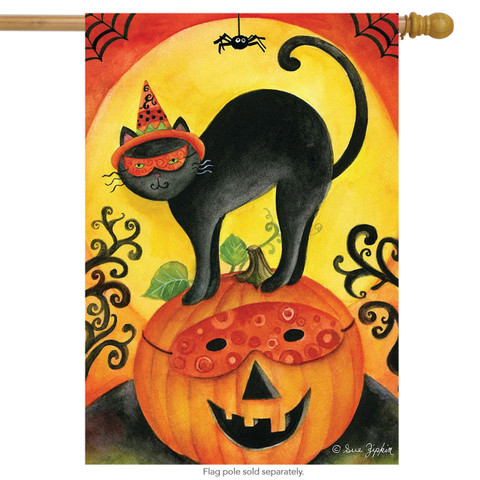 Black Cat Primitive Halloween House Flag