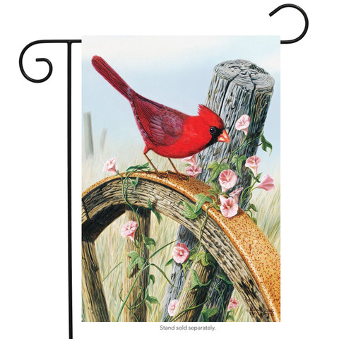 Cardinal Morning Glory Garden Flag