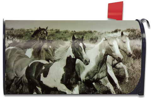 Morning Run Horses Magnetic Mailbox Cover
