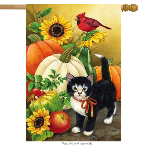 Gourds & Kitten Fall House Flag