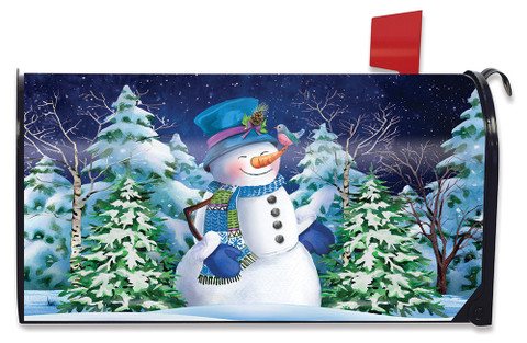 Snowfall Celebration Winter Mailbox Cover