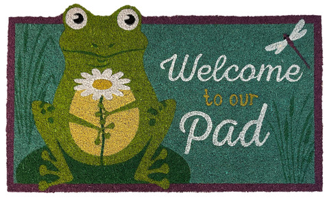 Briarwood Lane small printed Daisy Frog summer coir doormat with colorful springtime design and cocoa border.