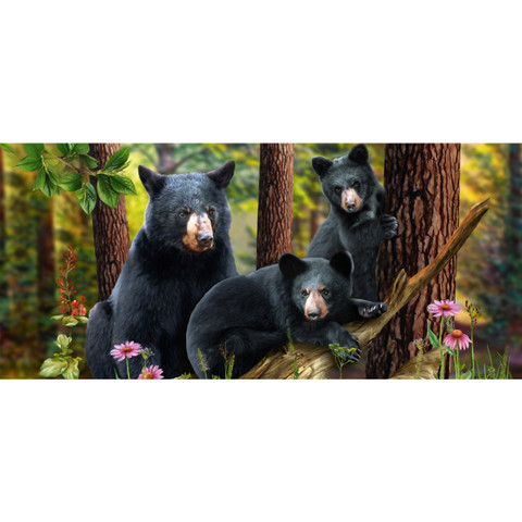Black Bear Family Mini Mat