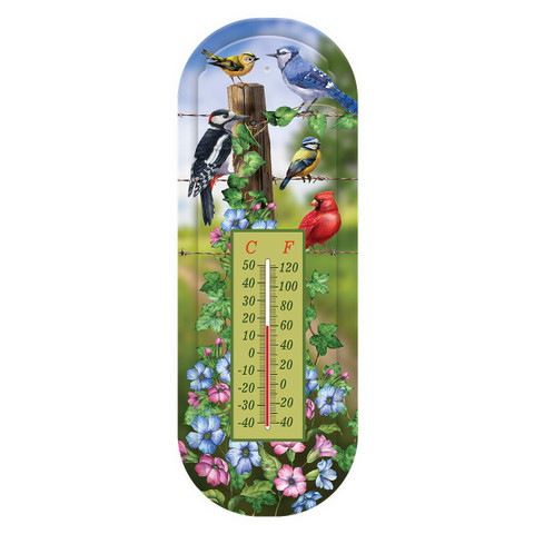 Country Birds Metal Thermometer with colorful birds, flowers, and temperature gauge in Celsius and Fahrenheit.