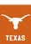 Briarwood Lane official NCAA Texas Longhorns small printed garden flag, colorful decorative college sports team banner.