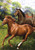 Briarwood Lane small printed Galloping Horses Garden Flag with colorful springtime mare and stallion design.