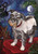 Chagrowl Schnauzer Dog House Flag