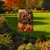 Briarwood Lane Harvest Turkey Fall Garden Flag, colorful decorative display for autumn porch or yard.