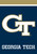 Briarwood Lane Georgia Tech Yellow Jackets NCAA Licensed small garden flag with colorful decorative printed design.