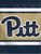 University of Pittsburgh Vertical Flag