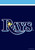 Tampa Bay Rays MLB Licensed Garden Flag
