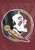 Florida Seminoles NCAA Vertical House Flag