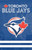 Toronto Blue Jays Applique Embroidered House Flag