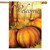 Fall Pumpkin Patch House Flag