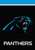 Carolina Panthers NFL Licensed House Flag