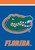 Briarwood Lane Florida Gators NCAA Licensed House Flag, official college sports banner with colorful decorative design.