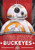 Ohio State "Buckeyes" NCAA Star Wars Vertical House Flag