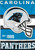 Carolina Panthers Vertical NFL House Flag