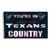 Houston Texans Country Grommet Flag