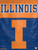 University of Illinois Vertical House Flag NCAA
