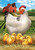 Briarwood Lane Family Time Summer Garden Flag with hen, chicks, and barn in colorful spring design.