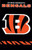 Cincinnati Bengals Applique Embroidered Banner Flag NFL